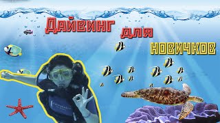 Дайвинг для новичков. Страх и ненависть в пучине морской.