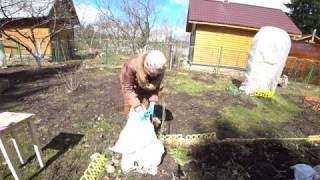 ОТКРЫВАЕМ РОЗЫ ВЕСНОЙ. УХОД ЗА РОЗАМИ ПОСЛЕ ЗИМЫ