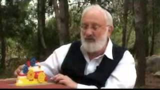 SZABADSÁG hun t rav 2008 04 16 clip hofshi