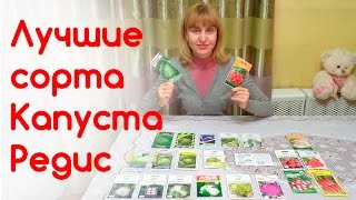 Капуста редис, выбираем лучшие сорта и гибриды