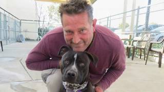 Extremely Urgent! 2 yr. Rio Needs Rescue ASAP!