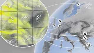Air Quality measurements combining space-based and in-situ information