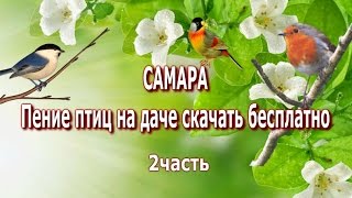 САМАРА.Пение птиц на даче скачать бесплатно 2 часть