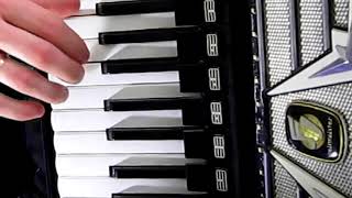 Enrique Iglesias on Accordion / Despacito на Аккордеоне