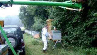 Transhumance Criquet palettes de 3 ruches