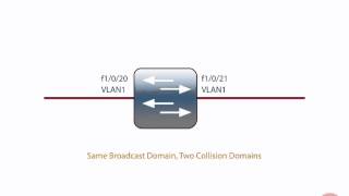 Broadcast Domain vs  Collision Domain