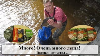 Рыбалка. Лещ. Отличный клёв леща. Поймал - отпусти. Рыбалка в Ленинградской области. Фидер. Fishing