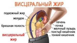 Висцеральный ЖИР - Ожирение внутренних ОРГАНОВ / Самый ОПАСНЫЙ!!! / Фролов Ю.А.