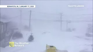 Historic blizzard brings Newfoundland to a standstill