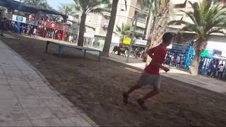 Tauroemision En Directo Grau de Castelló La Espuela