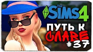 ДАША И БРЕЙН: ПУТЬ К СЛАВЕ - КАК ОТДЫХАЮТ БЛОГЕРЫ - The Sims 4