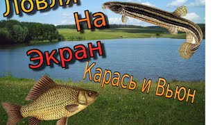 Ловля На Паука : Караси,Вьюны. Ловля в Луже
