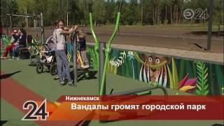 В Нижнекамске вандалы разрушили спортплощадки, построенные ко Дню города