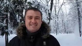 Выращивание Павловнии в Украине. Ответы на вопросы