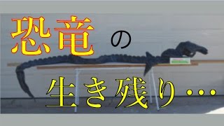 【驚愕】"恐竜の生き残り"と言われる激ヤバUMA(未確認生物)総勢２２体が大集合！