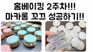 (무편집)쌩초보의 마카롱 꼬끄 성공레시피)위즈웰42마카롱,럭셀 핸드믹서, 뻥카 벗어나보아요!!!