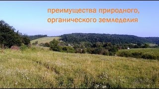 ПРИРОДНОЕ земледелие без перекопки на плохом месте. Украина с Камчатки)