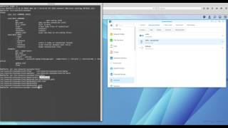 Synology connect to a VPN in command line