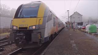 Trains en gare de Gedinne (+ énormes klaxons !)