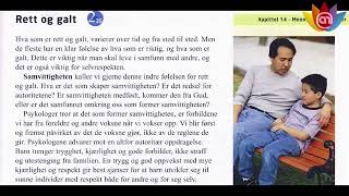 Stein på stein lær norsk 14