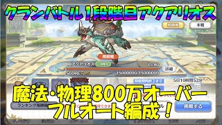 プリコネR　クランバトル　アクアリオス物理・魔法800万オーバーフルオート編成！