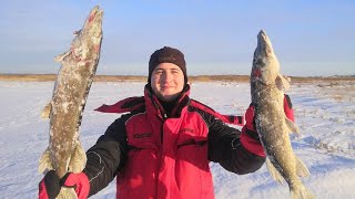Рыбалка на Жерлицы 2020. Поклевки щуки в мороз.Новый мелькен.