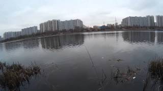 Ловля окуня на джиг. Рыбалка в Марьино. Парк 850-летия Москвы в Марьино