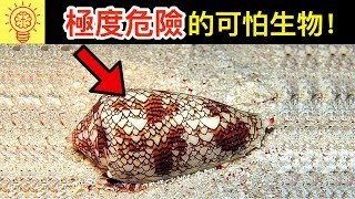 25個世界上【極度致命的生物】！