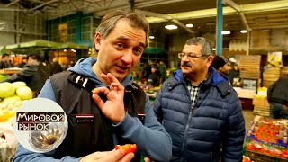 Баку ? Мировой рынок ? Моя Планета