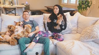 Foster Care Update. Discipline & spanking. PATH CLASS 3