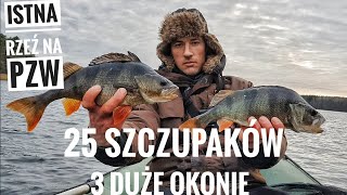 25 szczupaków i 3 duże okonie| rzeź na wodzie PZW| spinning w grudniu #22
