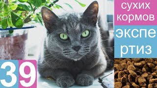 Экспертиза 39 сухих кормов - состав, качество и безопасность