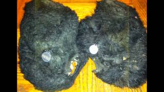 Well Worn Womens Black Flip Flop Fuzzy Fabric Flat Slippers Shoes Size 10 Used
