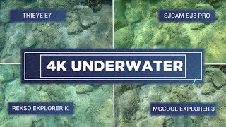 4K Action Cameras Underwater: SJCAM SJ8 Pro vs ThiEye E7 vs MGCool Explorer 3 vs Rexso Explorer 3