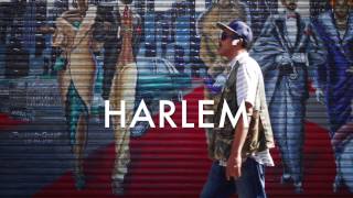 Trip to Harlem, New York