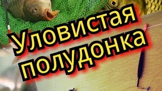 Уловистая полудонка.Карась.Плотва.Лещ.Карп.