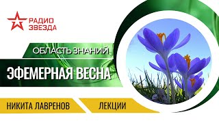 Никита Лавренов. Эфемерная весна
