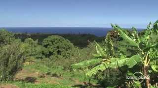 Beginner's guide to Maui, Hawaii - Lonely Planet travel video