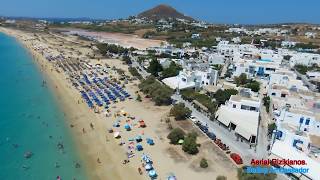 Parrot's BeBop Ambassador (Vol.3)-Aerial Rizikianos.