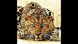 Libra: February 2020 (02-08) **Should We Tell Everyone The Good News?** (Peek At Your Partner)