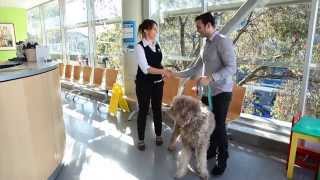 Want to be a VET? Watch this!
