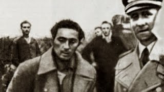 Яков Джугашвили Великое жертвоприношение Секретные материалы