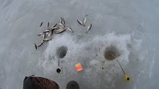 Ловля пассивной плотвы на необычную зимнюю снасть!