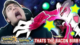 IT'S THE BACON BIRB! INSANE SHINY FREAKIN YVELTAL! | [USUM] Live Shiny Reaction #32 w/ GrimMarowak