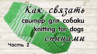 Свитер для собаки спицами, часть 2