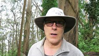Yellowstone Volcano Update