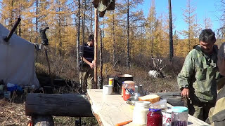 КАК ПОЙМАТЬ И ПОДОИТЬ ОЛЕНЯ, ВЕЛИКИЙ ТАЕЖНЫЙ НАРОД Серия 2-2.