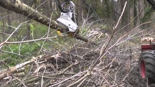 WOODY 110 MIT PROCESSORKOPF KESLA SH20