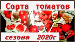 Лучшие сорта томатов для сезона 2020.