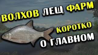 РУССКАЯ РЫБАЛКА 4. Фарм серебра на Волхове. Где и на что ловить Леща - Коротко о главном